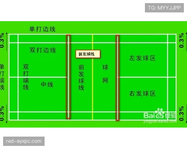 争球规则详解：判罚条件与比赛恢复流程规范
